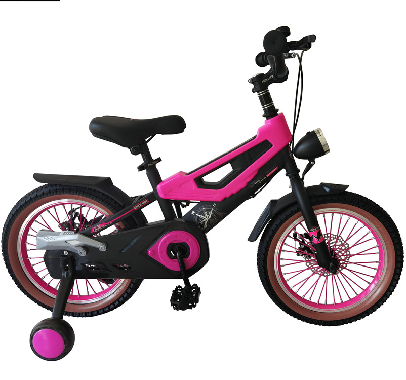 Bicicletas mini de 12 pulgadas - Children'S Outdoor reseña y precio