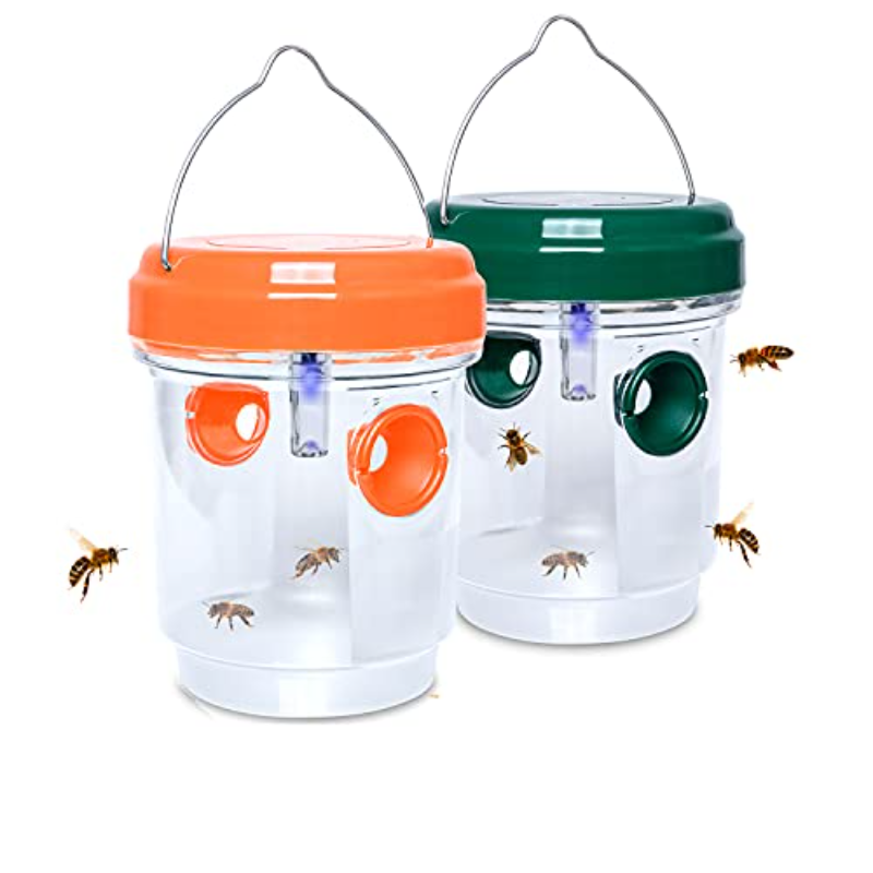 Trampas Solares para Avispas,  - Bug Catching Kit reseña y precio